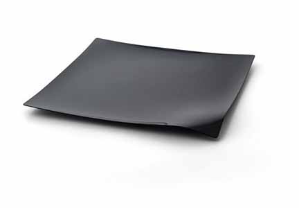 ARA41766 CATERING W. PLATO 28X28 NG CJ5x12