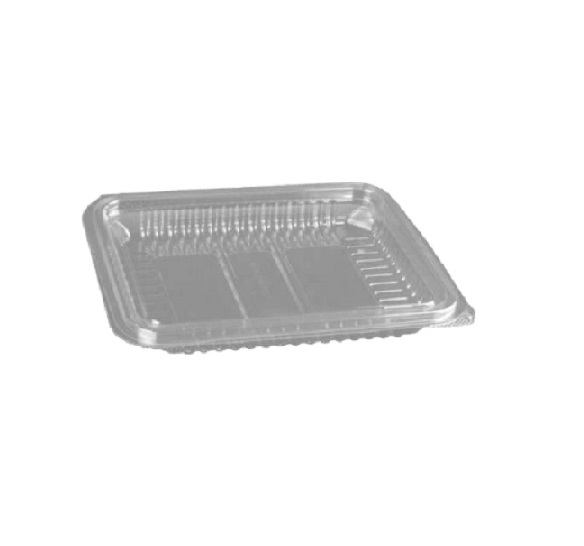 DES ECO BANDEJA PET LONCHEADO 19X14X4 CJ8x50