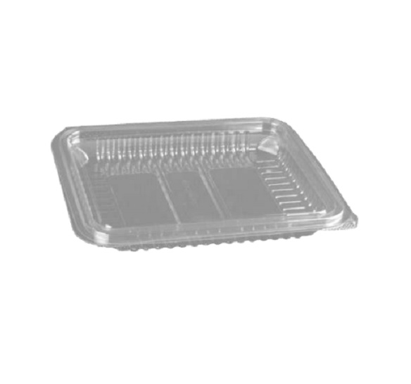 DES ECO BANDEJA PET LONCHEADO 22X19X4 TTE BL50u