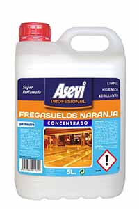 FREGASUELOS G5KG PONSLIM TOP CJ4u