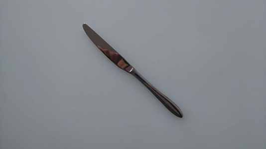 LAS VEGAS CUCHILLO POSTRE 9MM 20CM INOX CJ12u