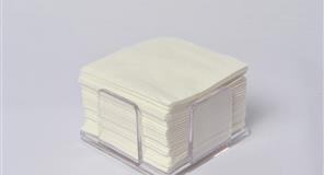 SERVILLETA 20x20 BLANCA 2C P/100 u.